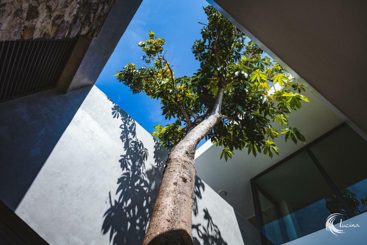 Lucina Villa Nha Trang Dış mekan fotoğraf